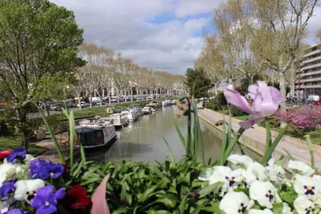 Villa Olivier, maison provençale les pieds dans l'eau à Gruissan : photo 19