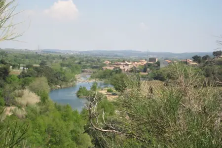 Villa Olivier, maison provençale les pieds dans l'eau à Gruissan : photo 20
