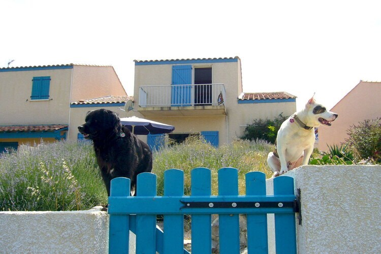 Maison méditerranéenne vue mer à St-Pierre-la-Mer - Photo 6