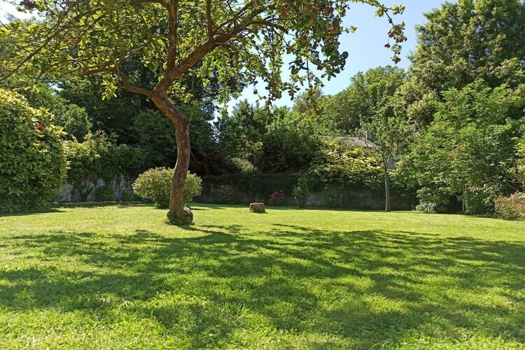 Maison pierre rénovée 2024, 500 m de la plage - Photo 5