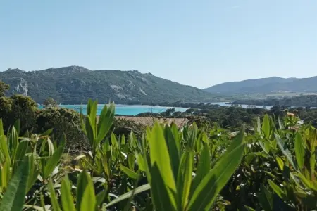 Villa 3 chambres climatisée pour 8 personnes à Porto Vecchio : photo 3