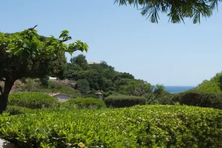 Villa 3 chambres climatisée pour 8 personnes à Porto Vecchio : photo 4