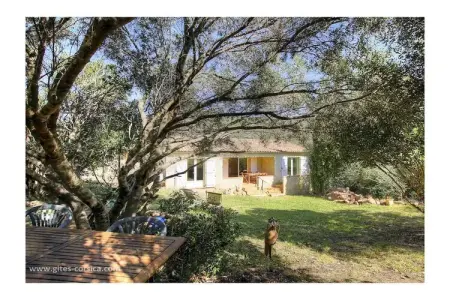 Mini-villa 61 m² Porto-Vecchio, piscine partagée : photo 16