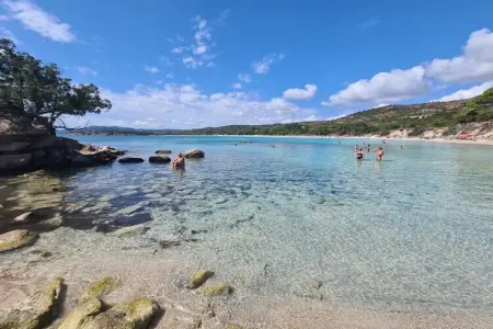 Mini-villa 61 m² Porto-Vecchio, piscine partagée : photo 21