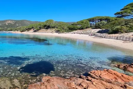 Mini-villa 61 m² Porto-Vecchio, piscine partagée : photo 23