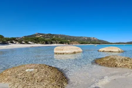 Mini-villa 61 m² Porto-Vecchio, piscine partagée : photo 24