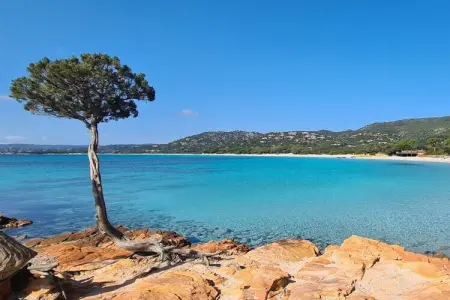 Mini-villa 61 m² Porto-Vecchio, piscine partagée : photo 25