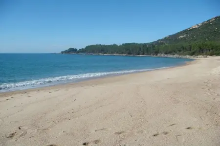 Villa avec vue mer à Olmeto Plage, 2 chambres : photo 25