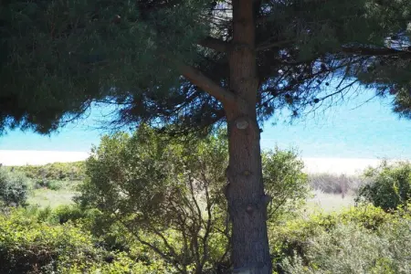 Appartement 50 m² avec terrasse vue mer à Piana : photo 5