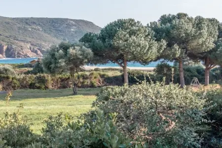Appartement 50 m² avec terrasse vue mer à Piana : photo 15