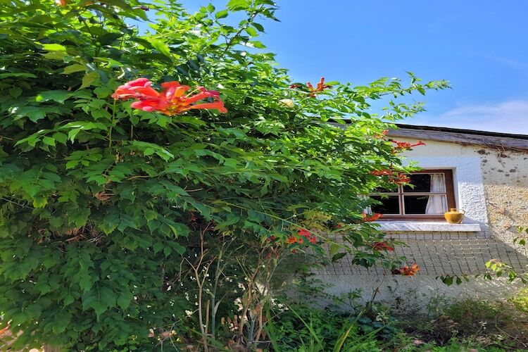 Gîte Syrah : maison plain-pied avec piscine à Saint-Saud-Lacoussière - Photo 24