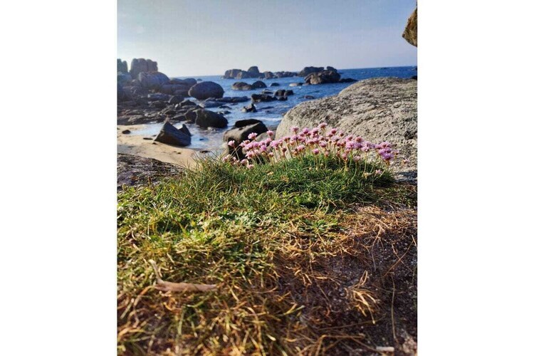 Villa spacieuse 7 personnes, terrasse sud à Plounéour-Brignogan - Photo 28