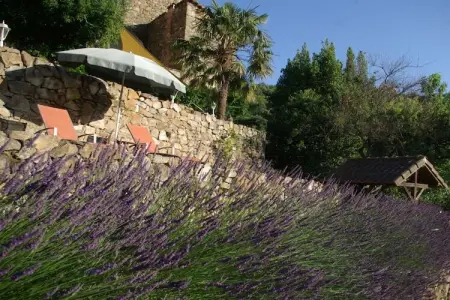 Maison Chatibot, demeure en pierre aux Cévennes : photo 4