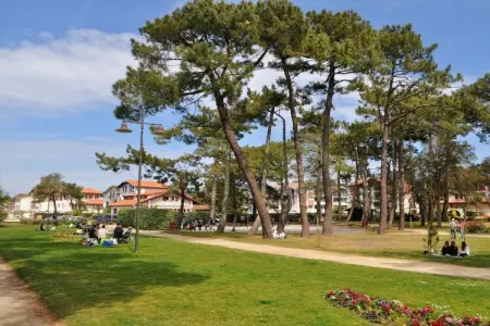 Maison moderne 4 personnes à Hossegor, terrasse et jardin : photo 9