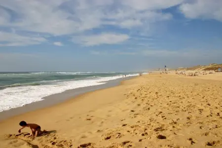 Maison mitoyenne face à la plage d'Hossegor : photo 6