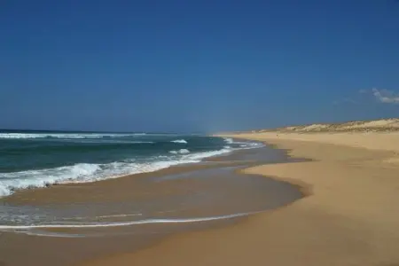 Maison mitoyenne face à la plage d'Hossegor : photo 14