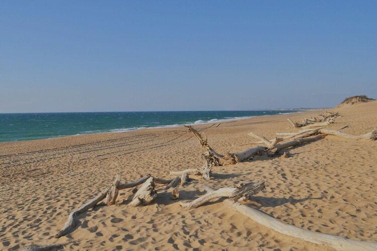 Maison 6 personnes à 3,5 km des plages de Labenne - Photo 29