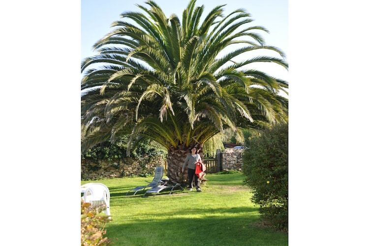 Maison bretonne 1877 à Crozon, jardin palmiers - Photo 4