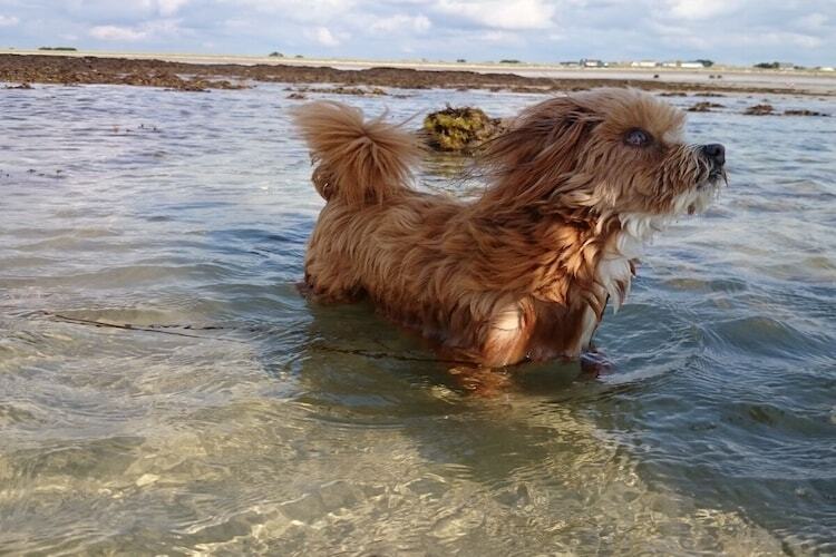 L'Ormeau-Seeöhrchen, maison 4 étoiles à Glatigny - Photo 29