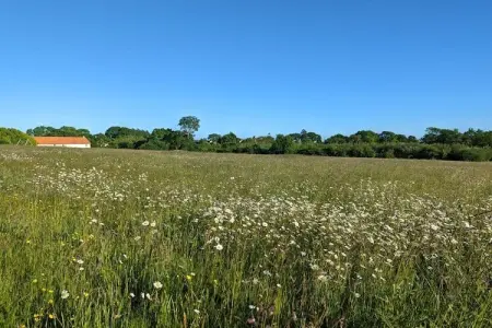 La Lapinière - Maison 130 m² à Vesly, 11 km plages : photo 8