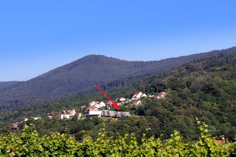 Maison Alsace Panorama à Barr, vue plaine d'Alsace - Photo 2