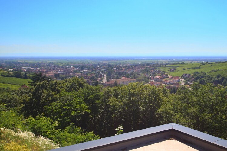 Maison Alsace Panorama à Barr, vue plaine d'Alsace - Photo 7