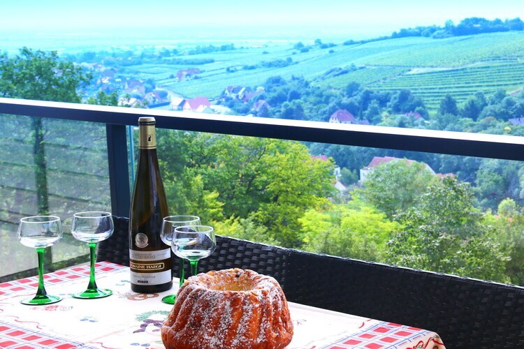 Maison Alsace Panorama à Barr, vue plaine d'Alsace - Photo 14