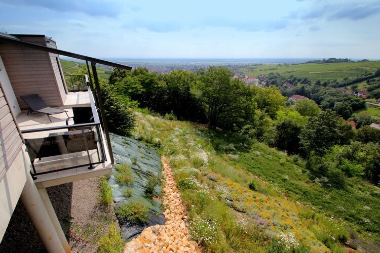 Maison Alsace Panorama à Barr, vue plaine d'Alsace - Photo 15