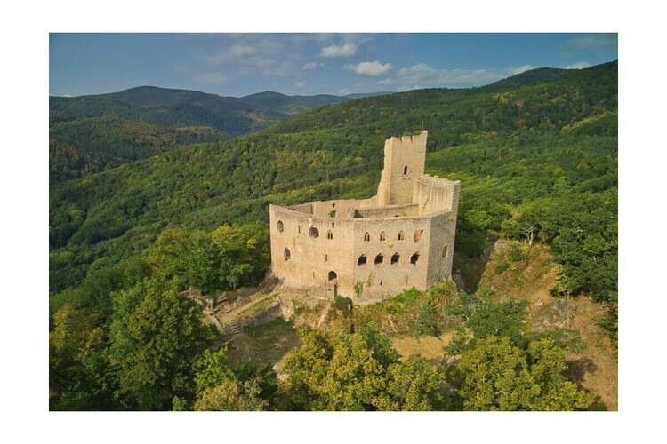 Maison Alsace Panorama à Barr, vue plaine d'Alsace - Photo 20