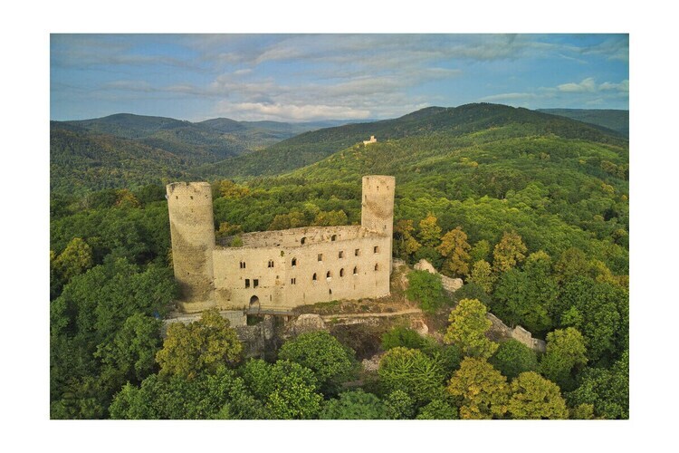 Maison Alsace Panorama à Barr, vue plaine d'Alsace - Photo 21