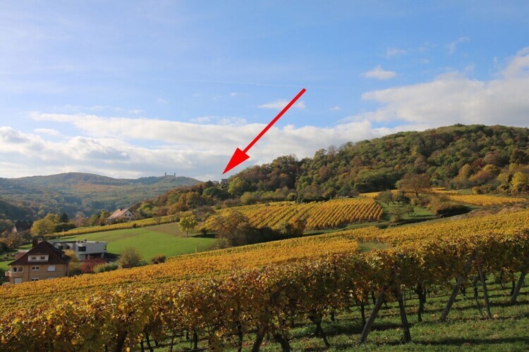 Maison Alsace Panorama à Barr, vue plaine d'Alsace - Photo 35