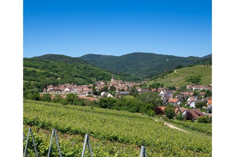 Duplex 80 m² avec vue sur les vignes à Andlau - Photo 5