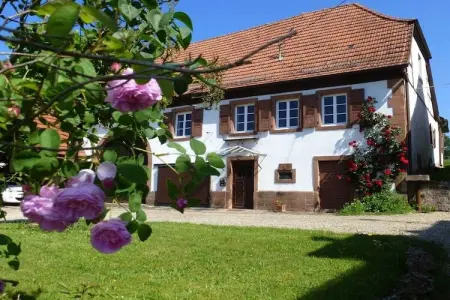 Maison 105 m² avec vue sur le Wachtfels, Obersteinbach : photo 1