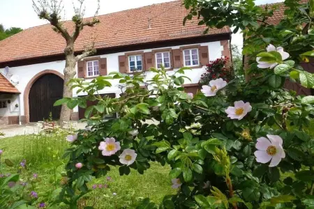 Maison 105 m² avec vue sur le Wachtfels, Obersteinbach : photo 3