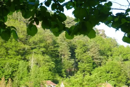 Maison 105 m² avec vue sur le Wachtfels, Obersteinbach : photo 29