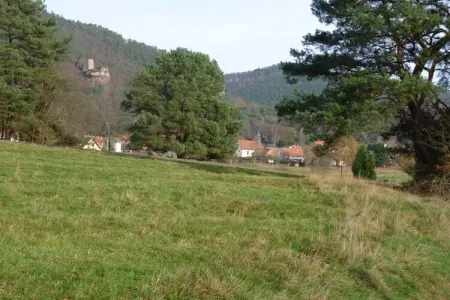Maison 105 m² avec vue sur le Wachtfels, Obersteinbach : photo 31