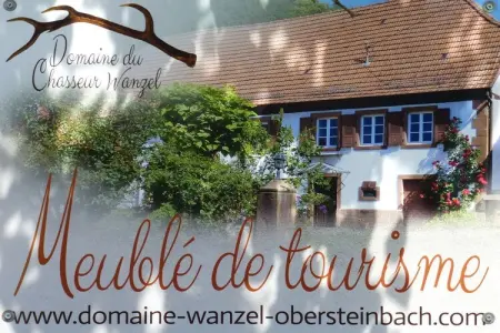 Maison 105 m² avec vue sur le Wachtfels, Obersteinbach : photo 40