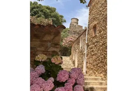 Villa 6 pers. Grimaud, piscine et vue sur le château : photo 36