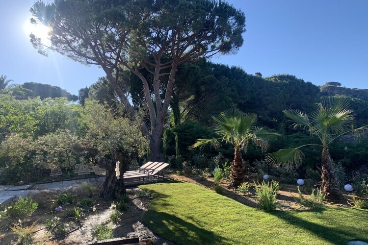 Villa 6 chambres à Gigaro, jacuzzi, hammam et piscine chauffée - Photo 27
