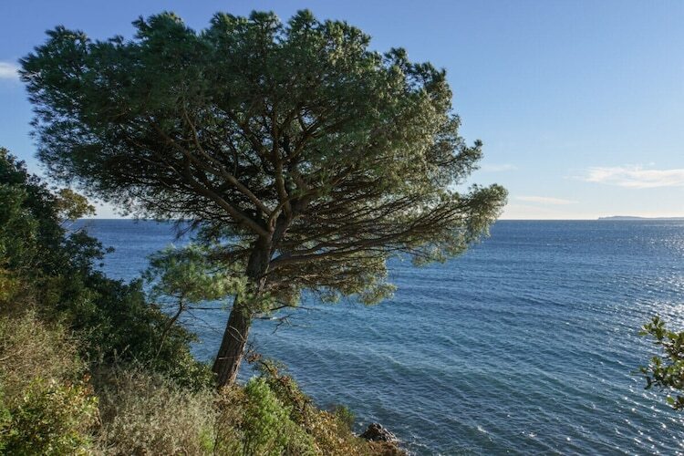 Ciel Bleu – Maison 4 pers. vue mer et piscine - Photo 26