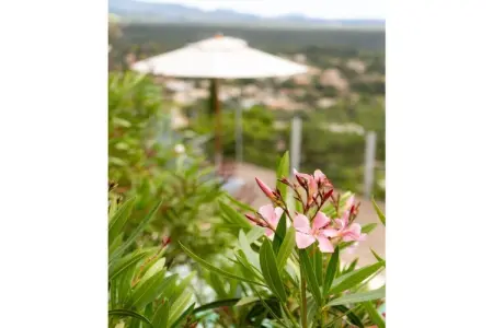 Maison 8 pers. vue mer à Roquebrune-sur-Argens : photo 18