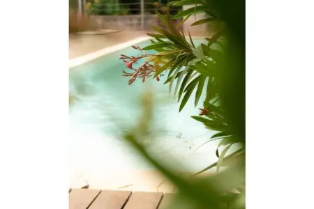 Maison 8 pers. vue mer à Roquebrune-sur-Argens : photo 19