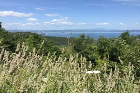 Gîte en pierre à Montefiascone, 2 chambres, 90 m² : photo 11
