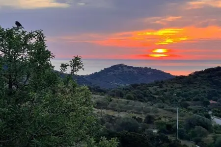 Villa moderne Budoni, piscine débordement et vue mer : photo 4