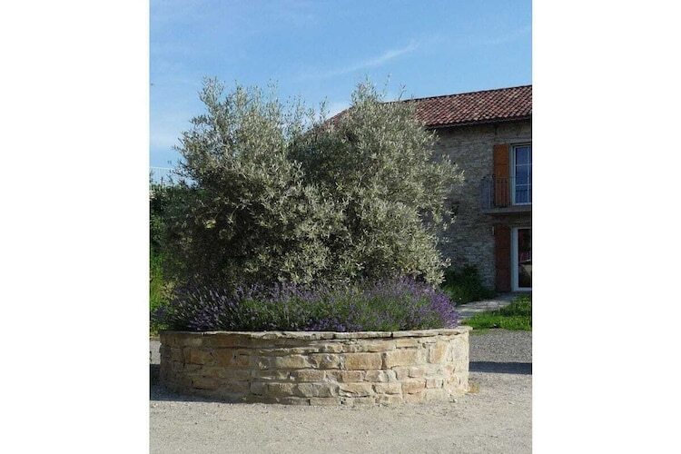 Casa Carlin, maison 10 personnes à Cortemilia - Photo 5