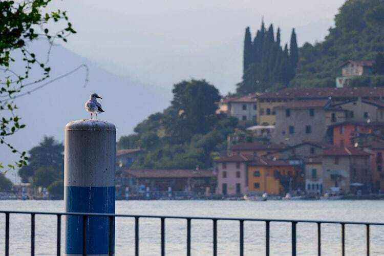 Maison au bord du lac d'Iseo avec piscine chauffée - Photo 30