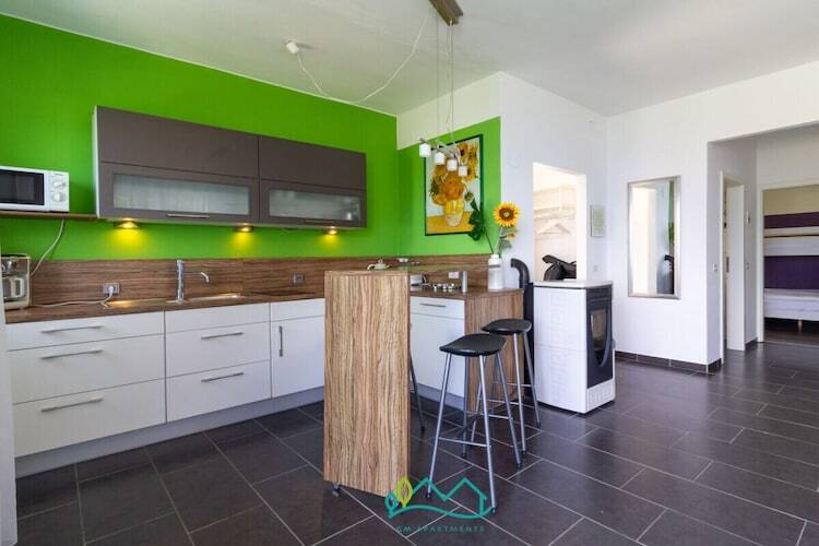 Maison 2 appartements indépendants avec piscine et vue lac - Photo 9