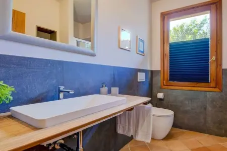 Maison de vacances Manerba del Garda, piscine et parc : photo 12