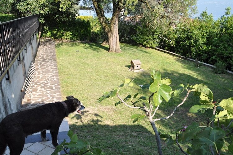 Villa avec vue lac à Toscolano-Maderno, 4 pers. - Photo 21