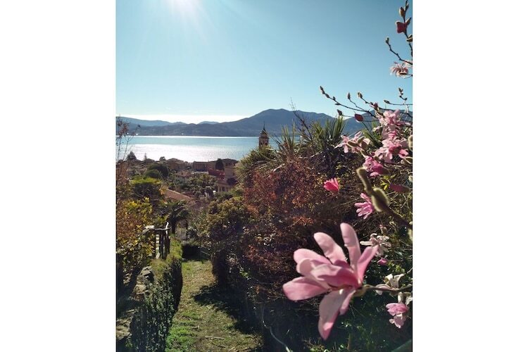 Villa avec piscine et jardin méditerranéen à Cannero Riviera - Photo 28